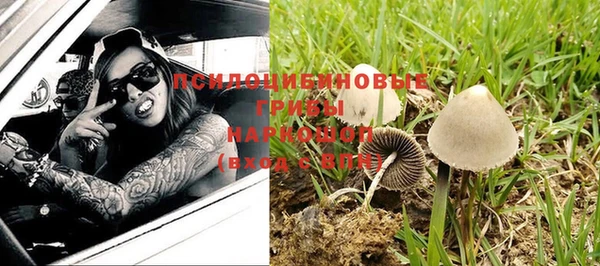 прущие грибы Алексин