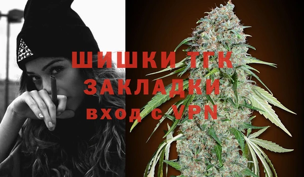 тгк Арсеньев