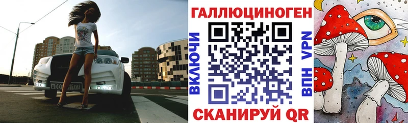 Псилоцибиновые грибы Cubensis  Валдай 
