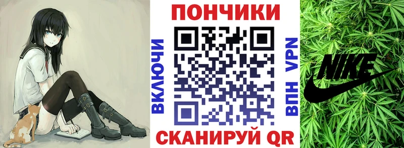 Шишки марихуана гибрид  где купить наркотик  Валдай 